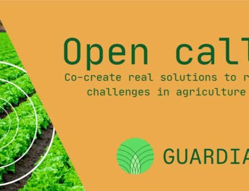 Open Call GUARDIANS project