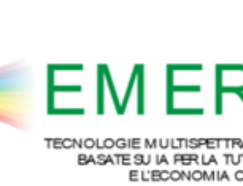 EMERALD